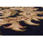 Tapis bleu marine Atterbury Agra-32501378