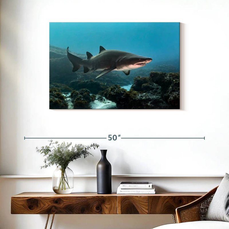 Aliwal Shoal Shark, 24" H x 36" W