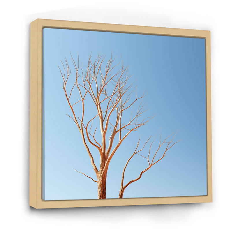 «Blue Timbers Trace Photo I», reproduction sur toile, Cadre naturel flottant, H 30 po x l 30 po x P 1 po