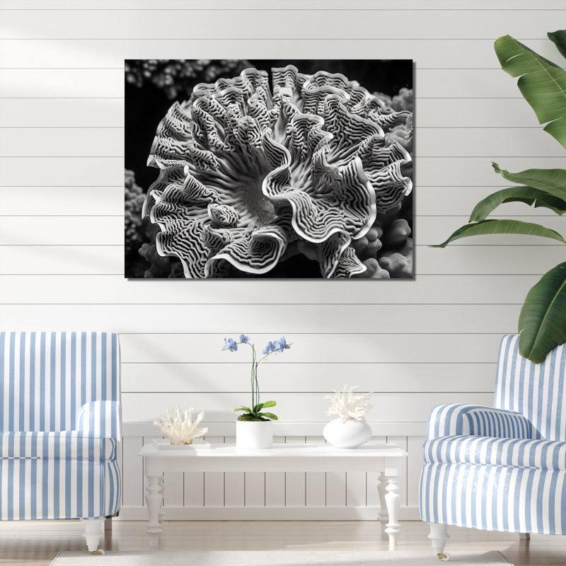 Coral Serenity en noir et blanc I, reproduction d'art sur toile, H 34 po x l 44 po, Cadre photo noir