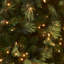 The Holiday Aisle® Carolina Pine Tree with Clear Lights-1245852289