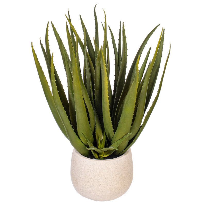 19.5'' Faux Succulent in Pot