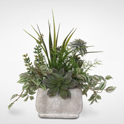 Faux Succulent in Stone Pot