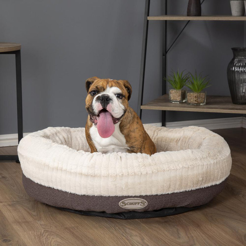 Ellen Polyester Pet Bed, 15cm H x 55cm W x 55cm D, Charcoal/Ivory