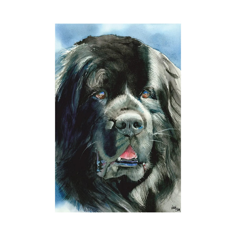 What's Newfie - Newfoundland by Judith Stein - Gallery-Wrapped Canvas Giclée on Canvas, Wrapped Canvas
