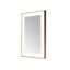 Lexington l 24 po x H 36 po x P 2,28 po, miroir lumineux à cadre mince, désembueur, éclairage à 3 températures de couleur, installation murale verticale ou horizontale-688707952-688707953
