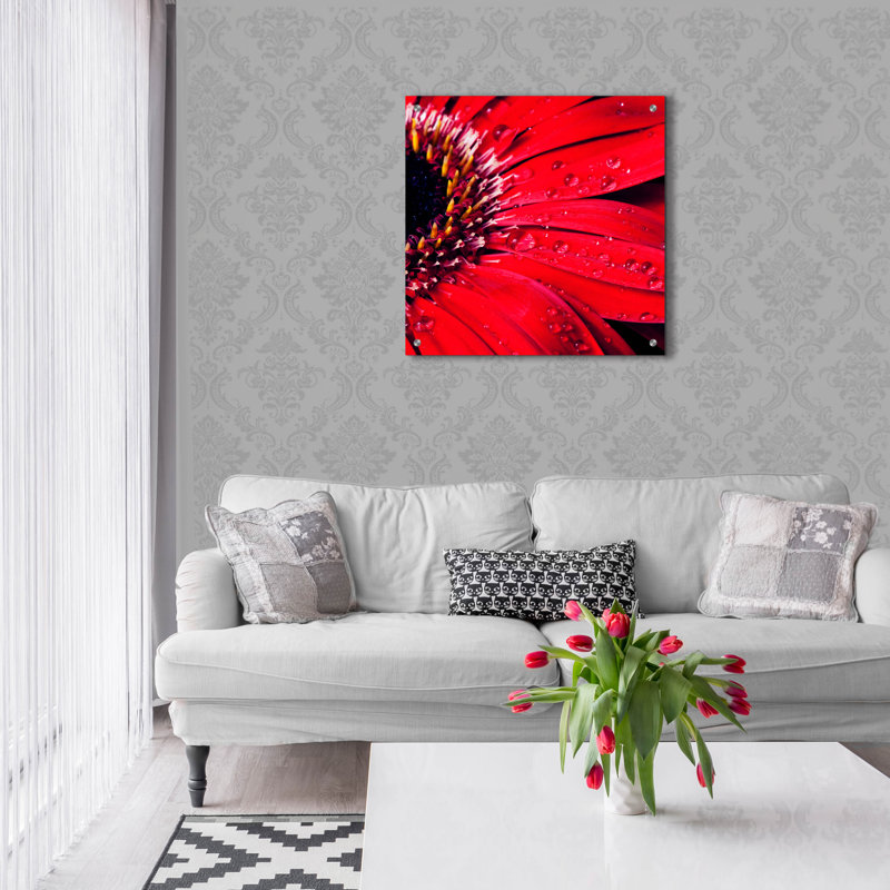 «Red Gerbera with Waterdrops 02» par Tom Quartermaine, art mural en verre acrylique, 24 po x 24 po