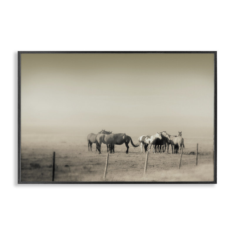 Giclée encadrée The Herd, par Roberta Murray, H 12 po x l 18 po, Giclée encadrée noir minuit