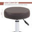 Chennai Adjustable Height Lab Stool with Footrest