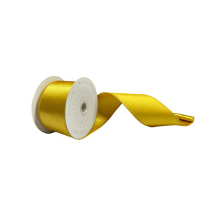 Vickerman 10yd Satin Christmas Ribbon (Set of 2)