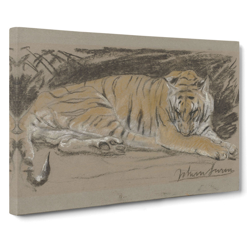 Study Of A Tiger Vol.1 by John Macallan Swan - Wall Art, 35cm H x 76cm W x 3cm D, Wrapped Canvas