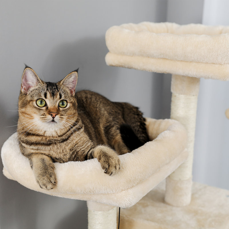 Grand chalet pour chat 69,3 po Chazman, Beige / blanc