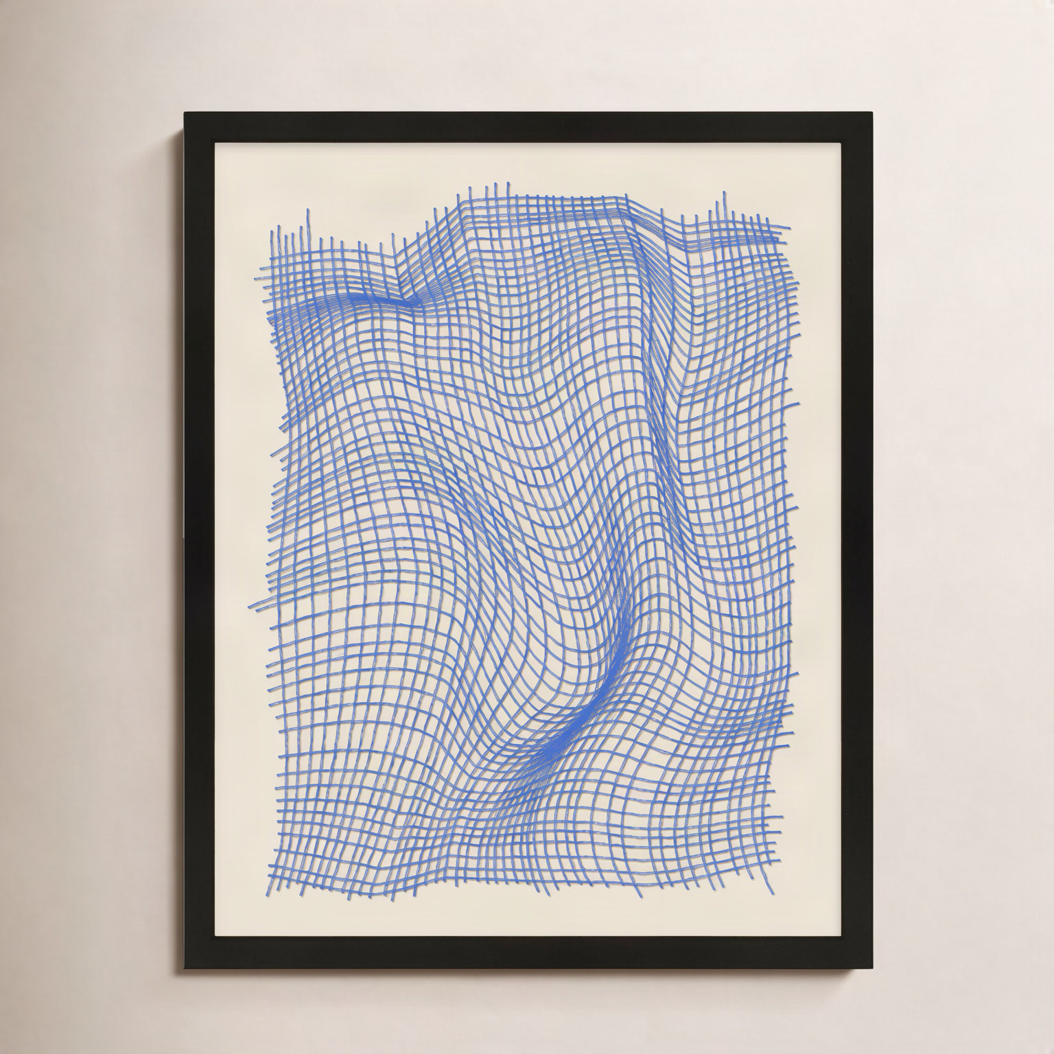 Netting 2 Print by Jacques Pilon, 25" H x 20" W x 1.25" D, Black Single Structure Framed Paper