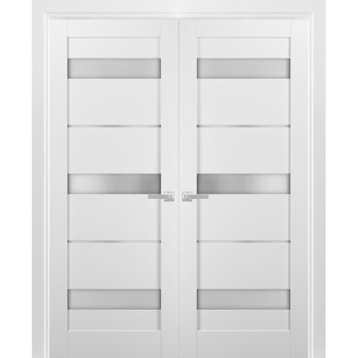 Portes françaises à double vitrage avec quincaillerie Quadro 4055 Blanc Soie avec panneaux en verre opaque dépoli, garnitures de cadre, porte intérieure robuste pour salle de bain ou chambre à coucher, 48 po x 80 po (2 x 24 x 80 po)