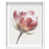 White Shadowbox