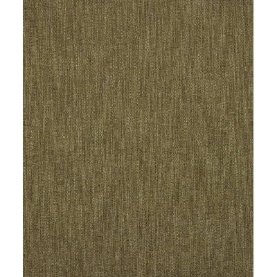 Salish Fabric