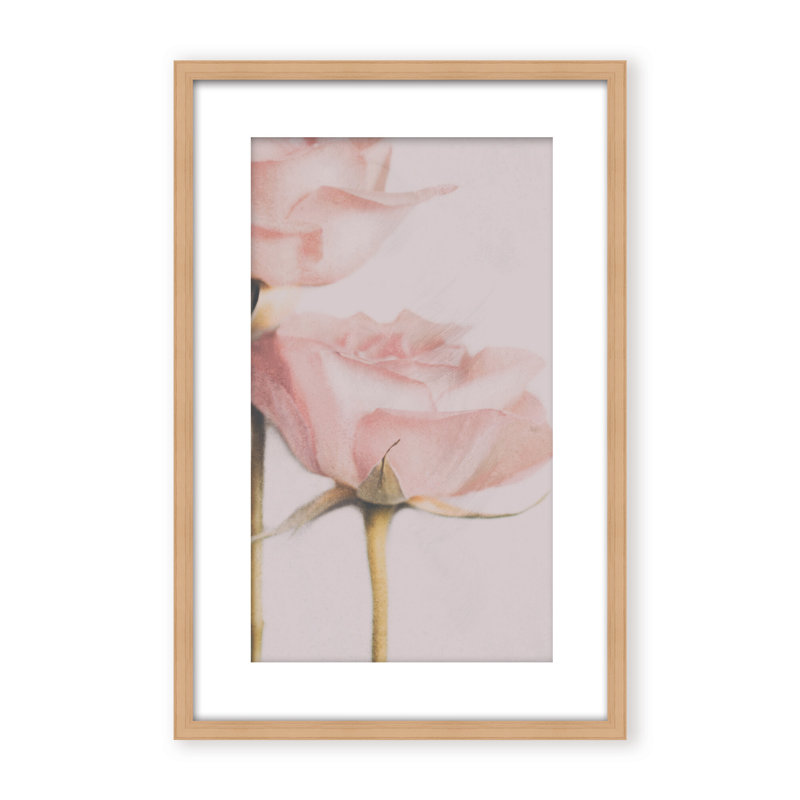 Nature Inspired Two Roses by  - Picture Frame Photograph on Paper, 36" H x 24" W x 1.125" D, Framed Print, White