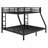 Metal Bunk Bed