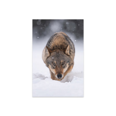 Wolf Hunting in the Snow by Dick Van Duijn  Painting