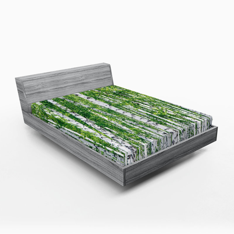 Ensemble de 2 draps-housses Ambesonne, Drap-housse grand