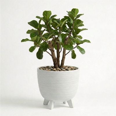 Pot Planter