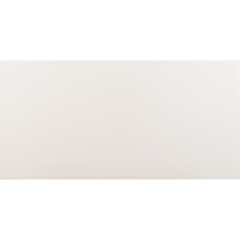 Segment Blanc 12 in. x 24 in. Matte Porcelain Floor and Wall Tile