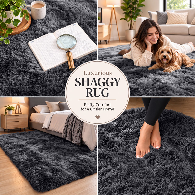 Adela Standard Shag Area Rug, Rectangle 120 x 170 cm