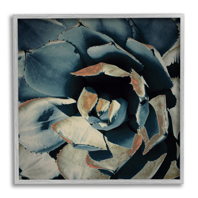 «Modern Modern Succulent Leaves on Canvas» par Irena Orlov, impression