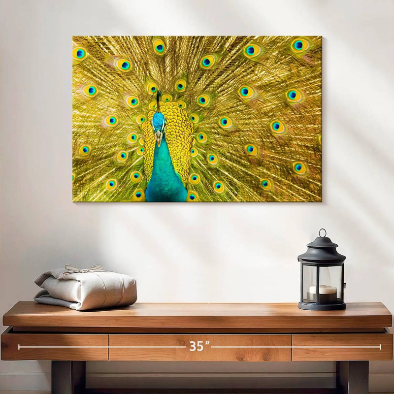 Brampt Glorious Peacock Feather, 16" H x 24" W
