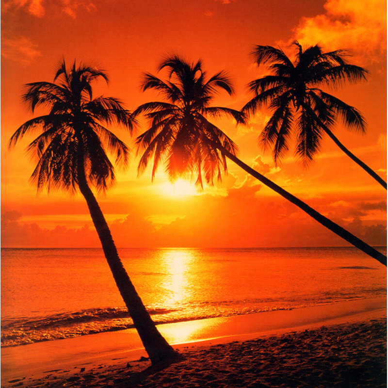 Coucher de soleil tropical, H 20 po x l 20 po