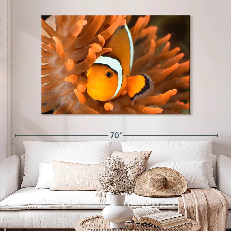 Brampt Orange Clownfish, 34" H x 51" W