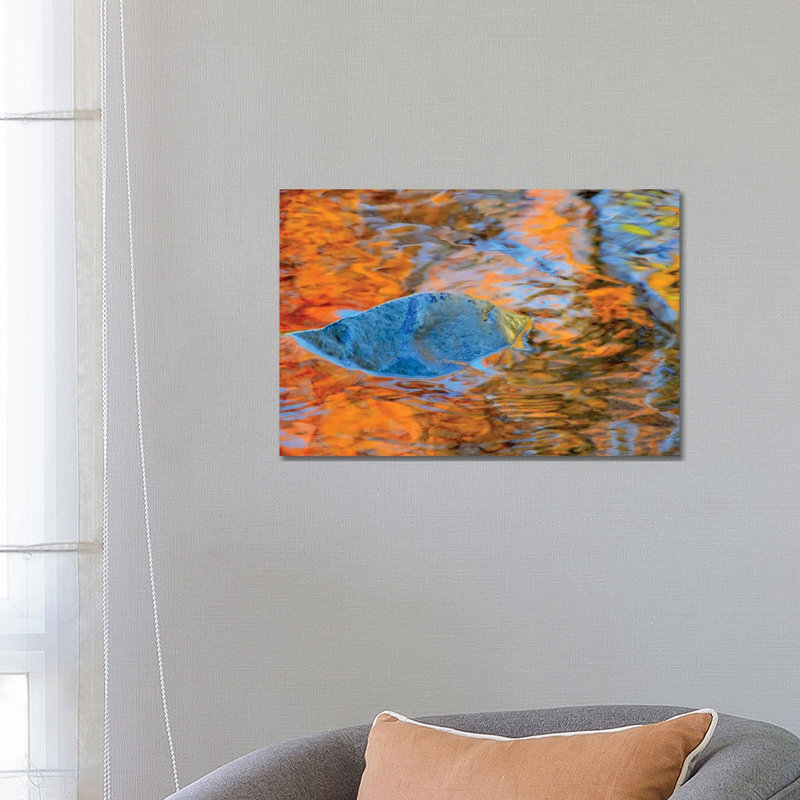 Iris by Helena Cooper - Wrapped Canvas Print, 66.04 cm H x 45.72 cm W x 3.175 cm D