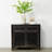 2 -Drawer Accent Chest