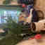 Customer photo 2 of 2