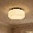 Edgemont 4-Light Ceiling Light in Matte Black-1005118386