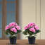 2 pièces de géranium artificiel en pot avec bassin, géranium, décoration de fausse fleur pour l'extérieur, décoration de table de bureau de ferme de mariage-753492114