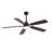 Lieschen 52'' Ceiling Fan with LED Lights-885601450-885601451