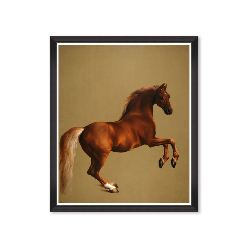 WHISTLEJACKET BY STUBB