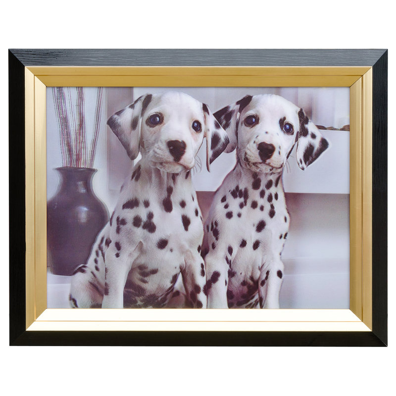 Single Picture Frame Print on Plastic / Acrylic