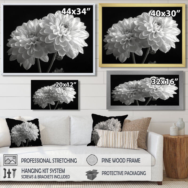 Monochromes blanc noir, «Mums Botanical Beauty I», reproduction d'art mural, Toile tendue, H 12 po x l 20 po x P 1 po