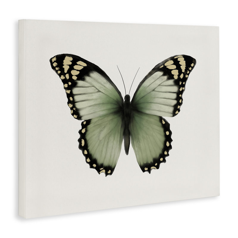 Art mural vert sur toile avec papillon symétrique par Elizabeth Medley, H 16 po x l 20 po