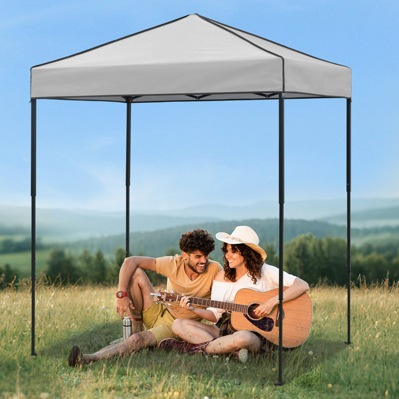 Tente d'auvent 6 x 4, auvent escamotable robuste avec sac de transport, Gris