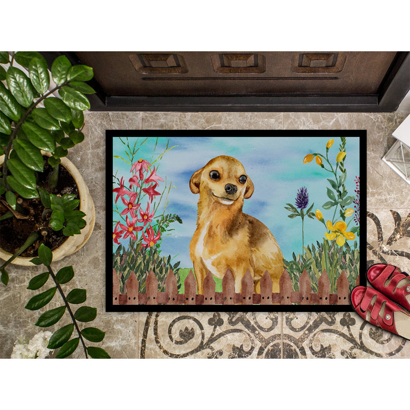 Tapis de porte pour l’extérieur antidérapant chihuahua spring, Rectangle 1 pi 6 po x 2 pi 3 po