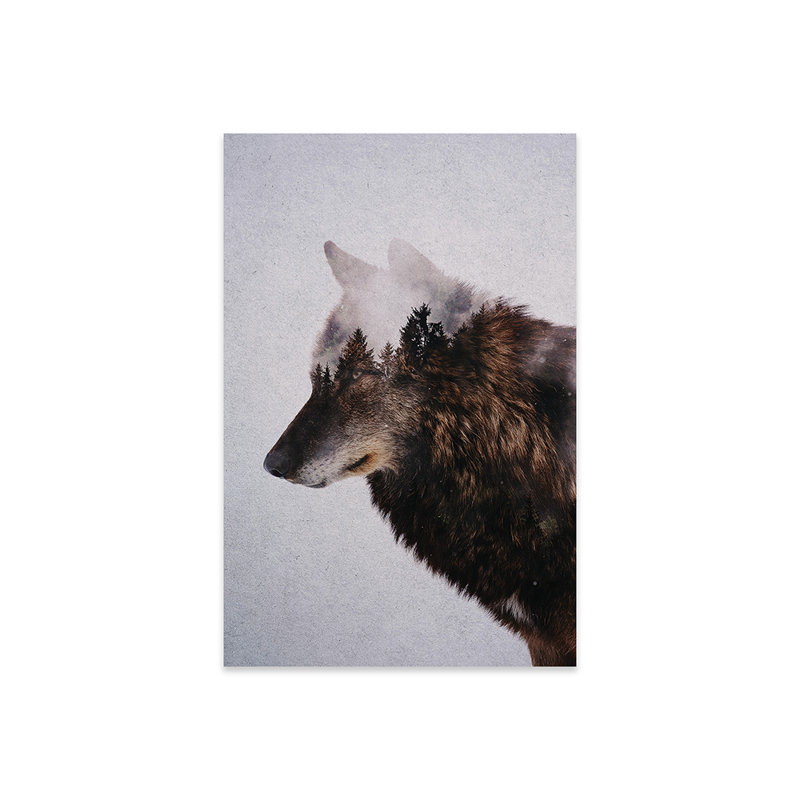 Wolf Wolf par Andreas Lie - peinture sans cadre