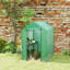 Walk-in Greenhouse 2 Tier 4 Shelves for Outdoor 6 x 4 x 6ft Green