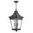 Chapel Hill Museum Black 3 -Bulb 26" H Outdoor Hanging Lantern