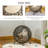 Reenan Cotton Elevated Pet Bed