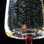 Concave Champagne Glasses 9oz