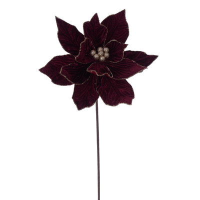 Cleorand Poinsettia Arrangement
