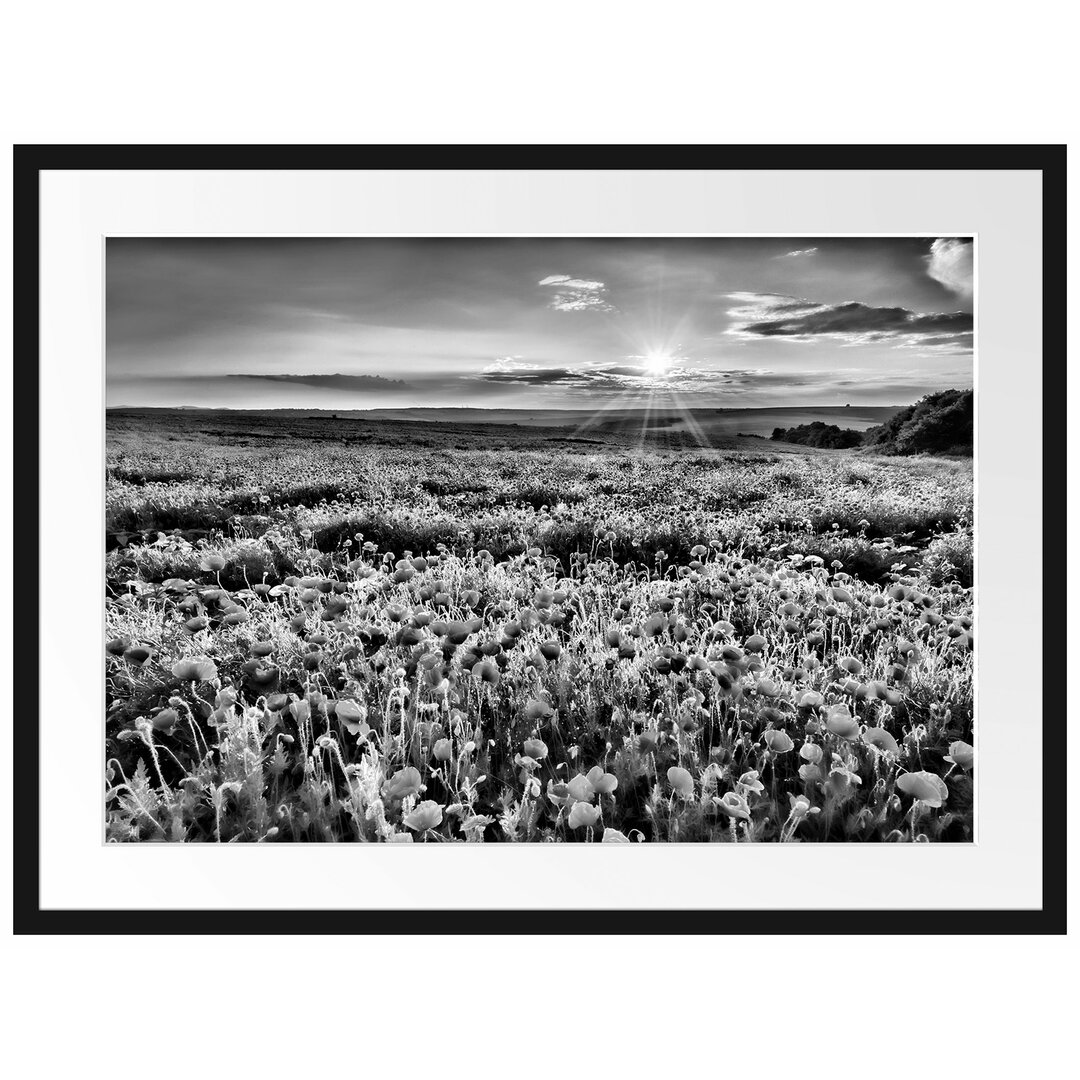 Gerahmtes Poster Mohnblütenfeld bei Sonnenuntergang